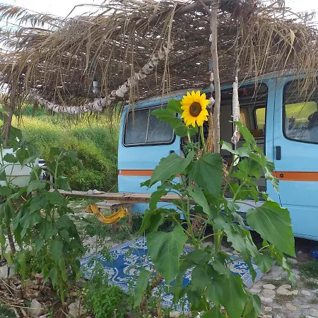 Camping Sunshine Van
